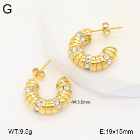 2E4004317vbpb-686  Stainless Steel Earrings