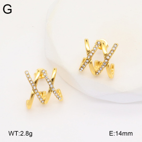 2E4004318vbpb-686  Stainless Steel Earrings