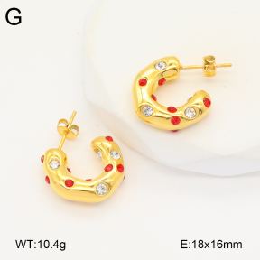 2E4004319vbnb-686  Stainless Steel Earrings