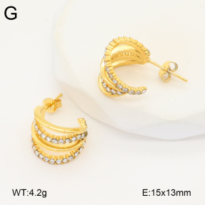 2E4004320bbov-686  Stainless Steel Earrings