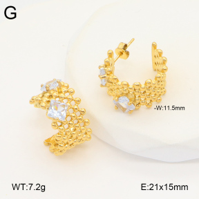 2E4004322bbov-686  Stainless Steel Earrings