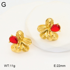 2E4004323bbov-686  Stainless Steel Earrings