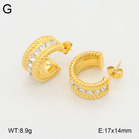 2E4004324bbov-686  Stainless Steel Earrings