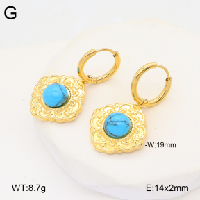 2E4004325bbov-686  Stainless Steel Earrings