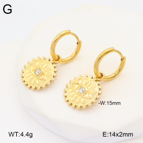 2E4004326vbnb-686  Stainless Steel Earrings