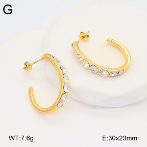 2E4004327bbov-686  Stainless Steel Earrings