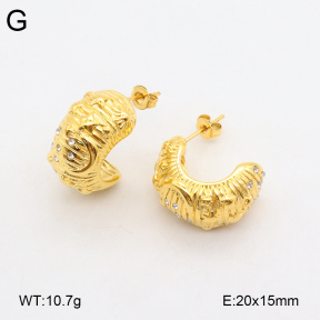 2E4004329bbov-686  Stainless Steel Earrings