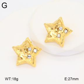 2E4004330bbov-686  Stainless Steel Earrings