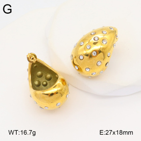 2E4004331bbov-686  Stainless Steel Earrings