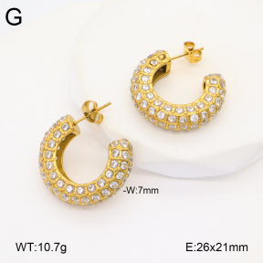 2E4004332bbov-686  Stainless Steel Earrings
