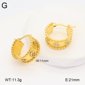 2E4004333bbov-686  Stainless Steel Earrings