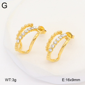 2E4004334bbov-686  Stainless Steel Earrings