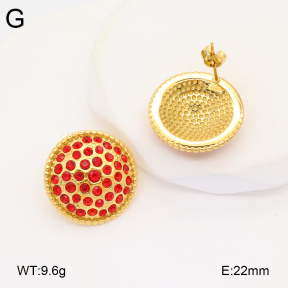 2E4004335bbov-686  Stainless Steel Earrings