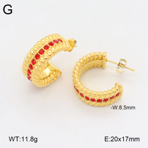 2E4004336bbov-686  Stainless Steel Earrings