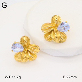 2E4004337bbov-686  Stainless Steel Earrings