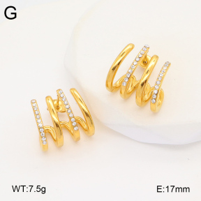 2E4004338bbov-686  Stainless Steel Earrings