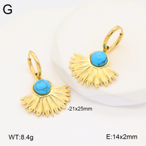 2E4004339vbnb-686  Stainless Steel Earrings