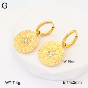 2E4004340vbnb-686  Stainless Steel Earrings