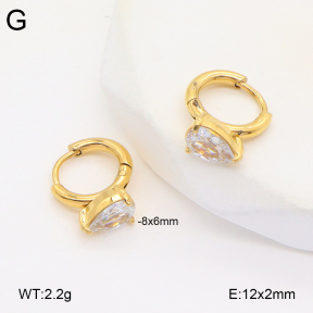 2E4004341baka-686  Stainless Steel Earrings