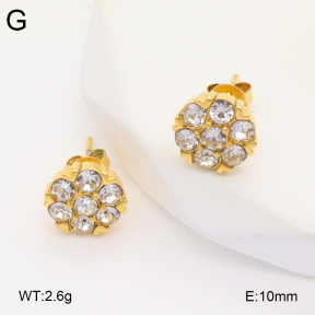 2E4004342bbov-686  Stainless Steel Earrings