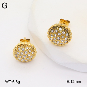 2E4004343bbov-686  Stainless Steel Earrings