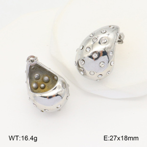 2E4004344vbnb-686  Stainless Steel Earrings
