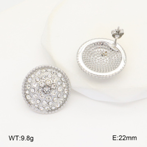 2E4004345vbnb-686  Stainless Steel Earrings