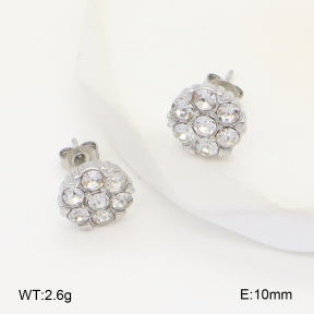 2E4004347vbnb-686  Stainless Steel Earrings