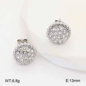 2E4004348vbnb-686  Stainless Steel Earrings