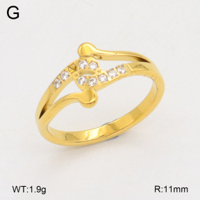 2R4001739bvpl-328  6-9#  Stainless Steel Earrings