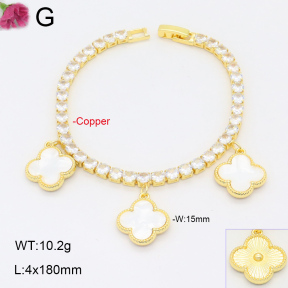 F2B402349bhia-J22  Fashion Copper Bracelet