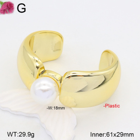F2BA30077ablb-J121  Fashion Bangle