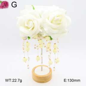 F2E300862bhva-K53  Fashion  Earrings