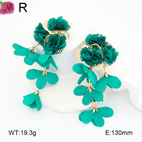 F2E300869bhva-K53  Fashion  Earrings