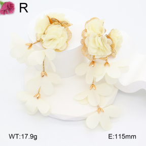 F2E300872bhva-K53  Fashion  Earrings