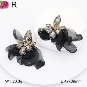 F2E300875bhva-K53  Fashion  Earrings