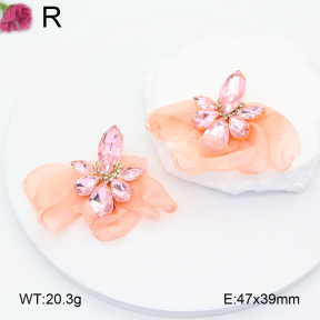 F2E300876bhva-K53  Fashion  Earrings