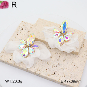 F2E300878bhva-K53  Fashion  Earrings