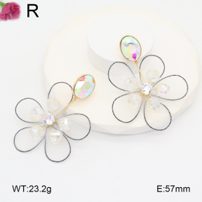 F2E300892vbpb-K53  Fashion  Earrings