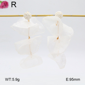 F2E300905vbmb-K53  Fashion  Earrings