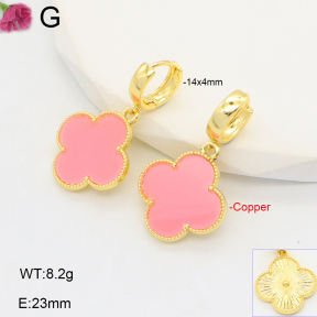 F2E402070vhha-J22  Fashion Copper Earrings