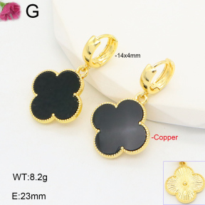 F2E402071vhha-J22  Fashion Copper Earrings