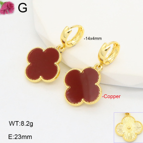 F2E402072vhha-J22  Fashion Copper Earrings