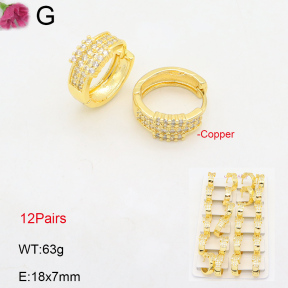 F2E402079amaa-J22  Fashion Copper Earrings