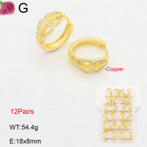 F2E402081amaa-J22  Fashion Copper Earrings