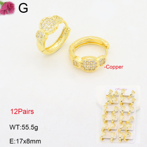 F2E402084amaa-J22  Fashion Copper Earrings