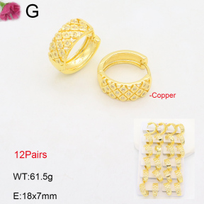 F2E402085amaa-J22  Fashion Copper Earrings