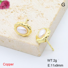 F6E302018baka-L017  Stainless Steel Earrings