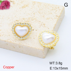 F6E302019ablb-L017  Stainless Steel Earrings