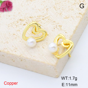 F6E302020baka-L017  Stainless Steel Earrings